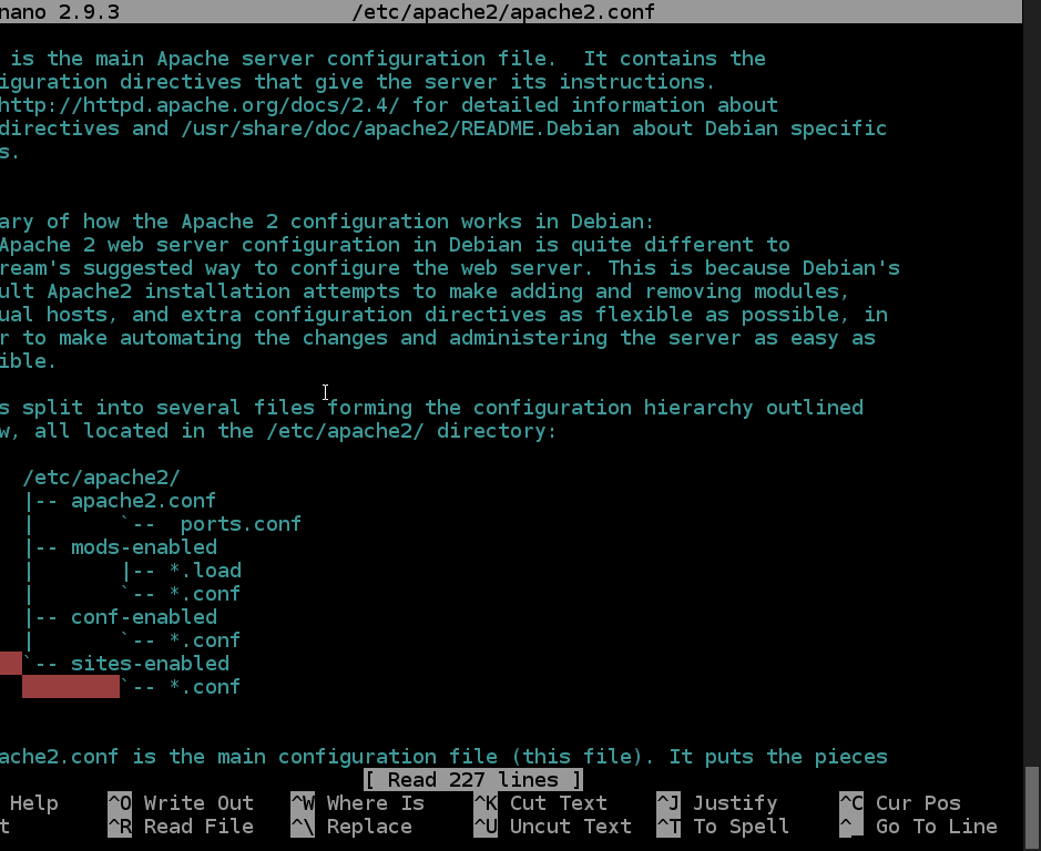 View Apache Config with Nano